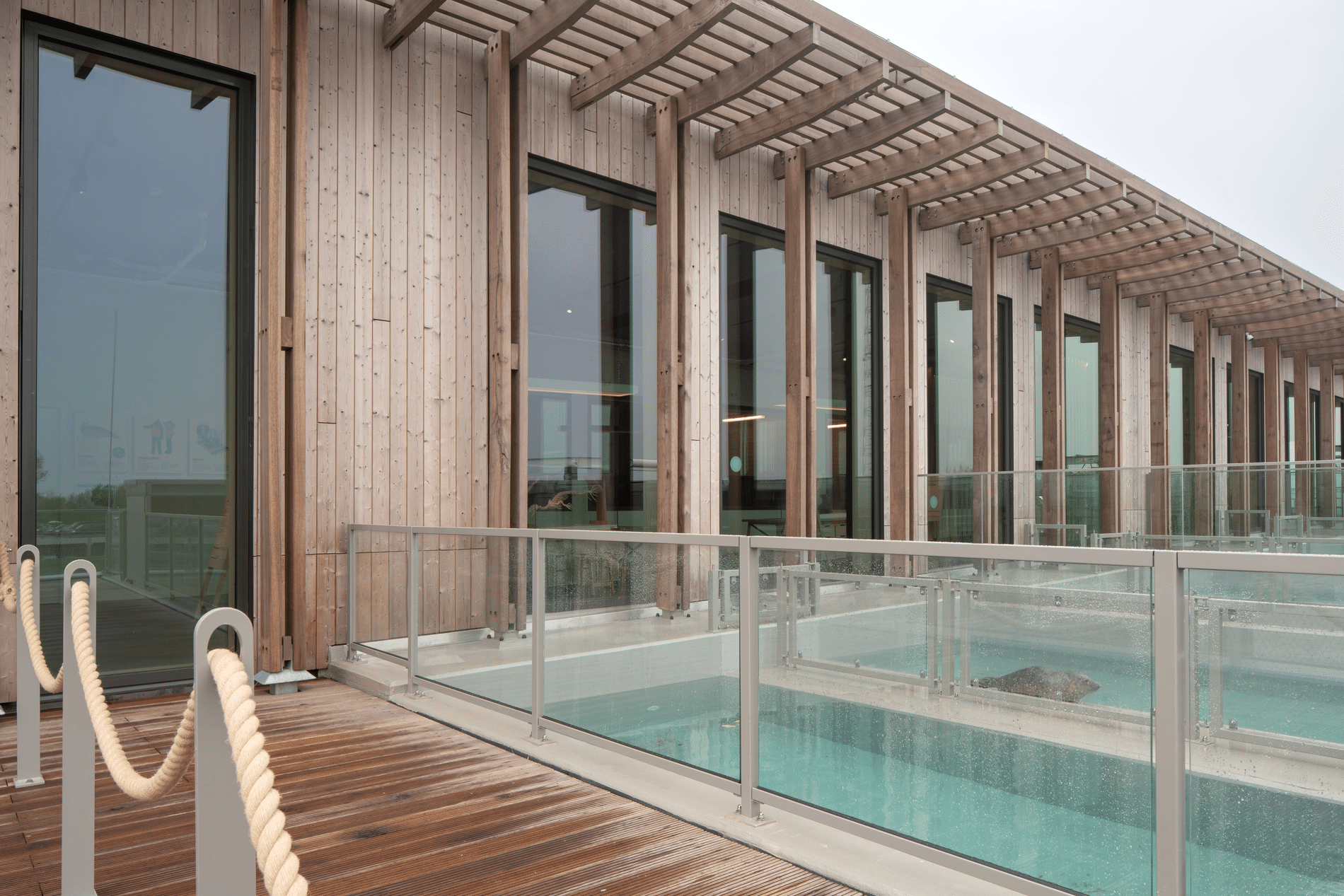 Blikvanger aan de Waddenkust 3