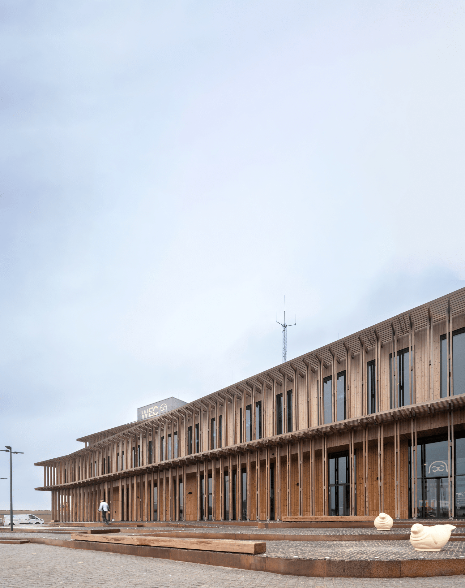 Blikvanger aan de Waddenkust 2