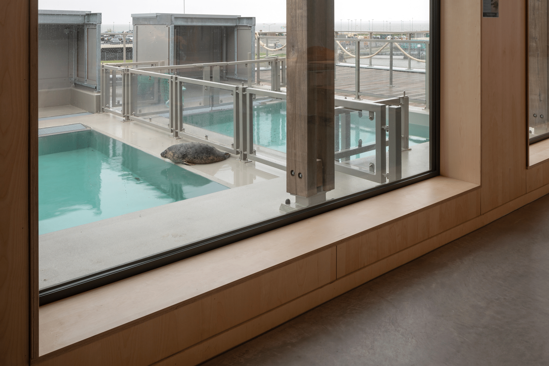 Blikvanger aan de Waddenkust 4