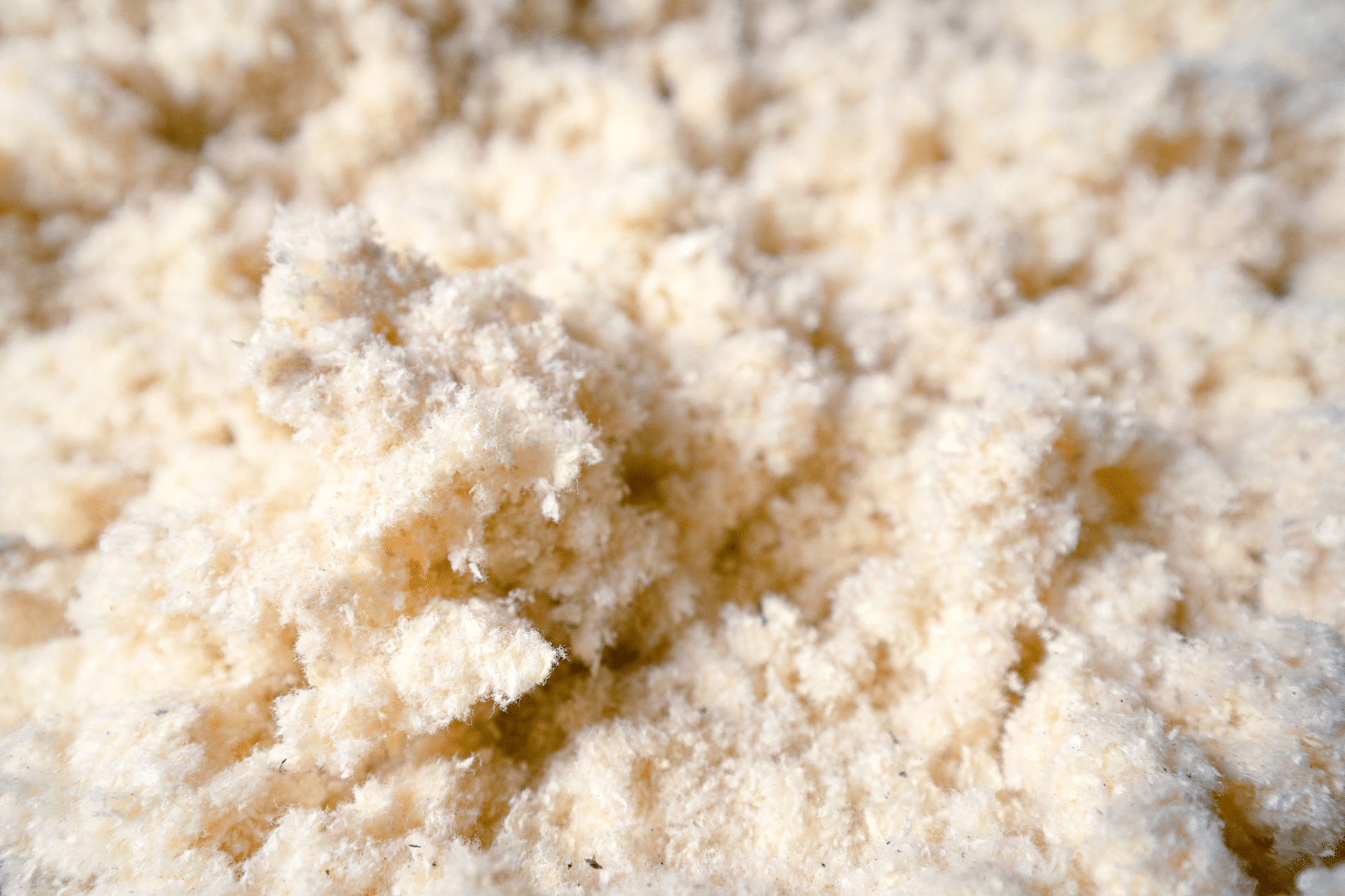 Innovatieve biobased isolatieproducten 2